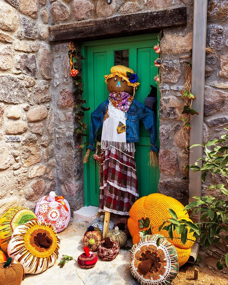 1000135671.jpg 1000135671.jpg